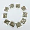 catnip-natural-para-gatos-diez