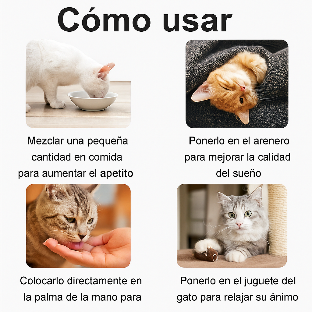 catnip-natural-para-gatos-usar