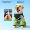 impermeable-verde-para-perro-con-capucha-transparente-the-dog-face