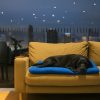 tapete-azul-de-viaje-impermeable-para-perros-sofa