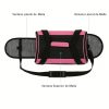 transportadora-para-perro-rosa-ventana
