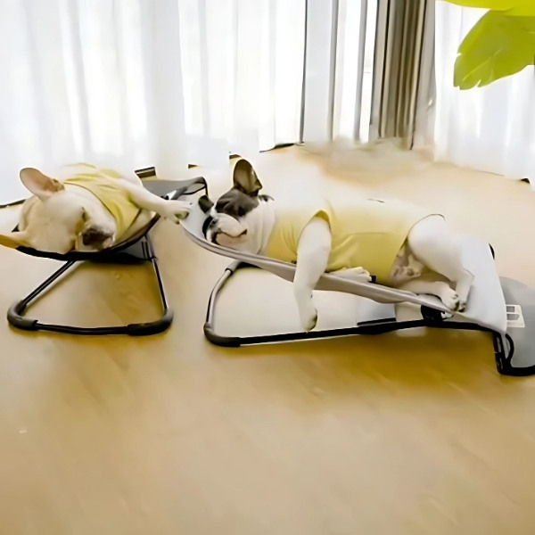 Camastro transpirable para perro en tela de malla, estable y antideslizante, ideal para brindar comodidad y frescura a tu compañero.